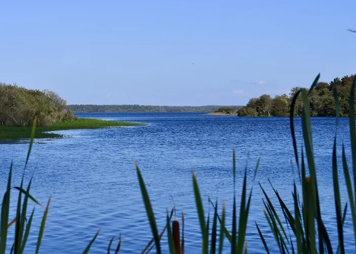 L'oustalet-3 By Interhome * Mimizan-Plage